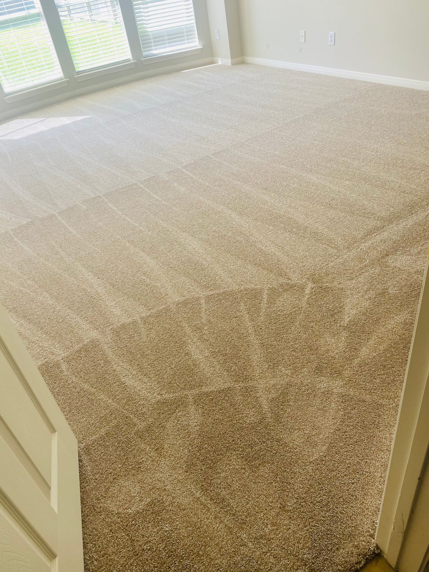 Carpet remodeling